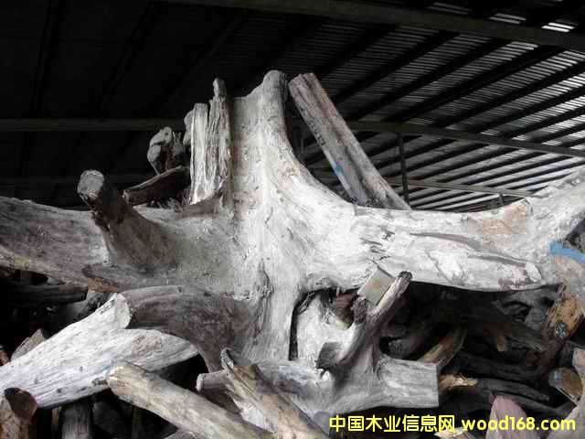 �ϓ�t��֦��(sh��)�^����(sh��)����Ԕ��(x��)��B