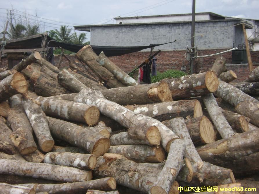   ���zľԭľ ��Ԕ����B