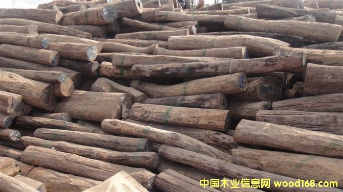 �ϓ��t��֦���ϵ�Ԕ��(x��)��B