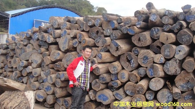 �ϓ��t��֦��Ԕ��(x��)��B