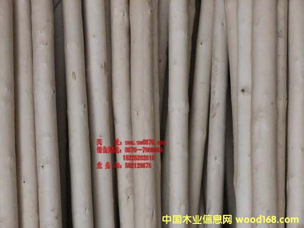 �ك����͘��U��Ԕ��(x��)��B