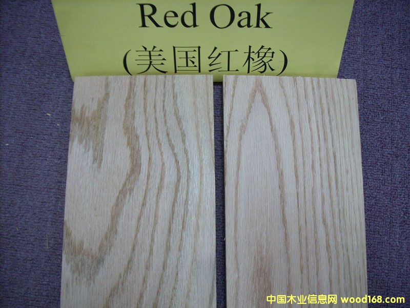 �����t��ľRed Oak��Ԕ��(x��)��B