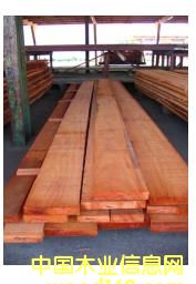 �һ���ľ��Ԕ����B