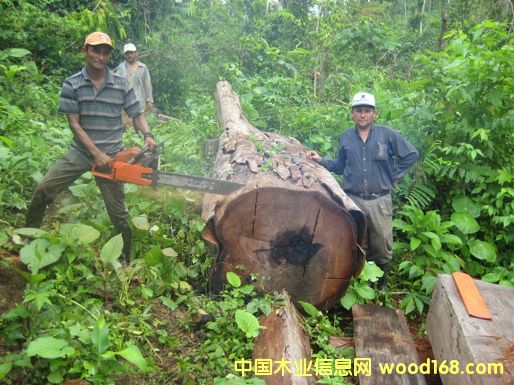 7��Ԕ��(x��)��B