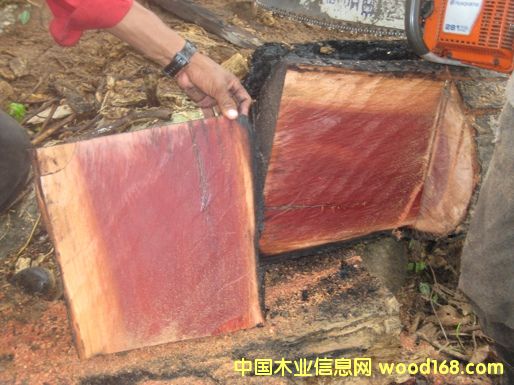 8��Ԕ��(x��)��B