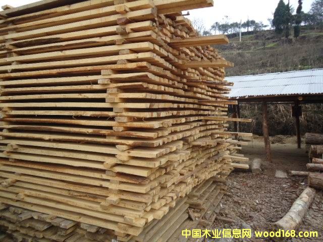 ��ľ���Ԕ����B