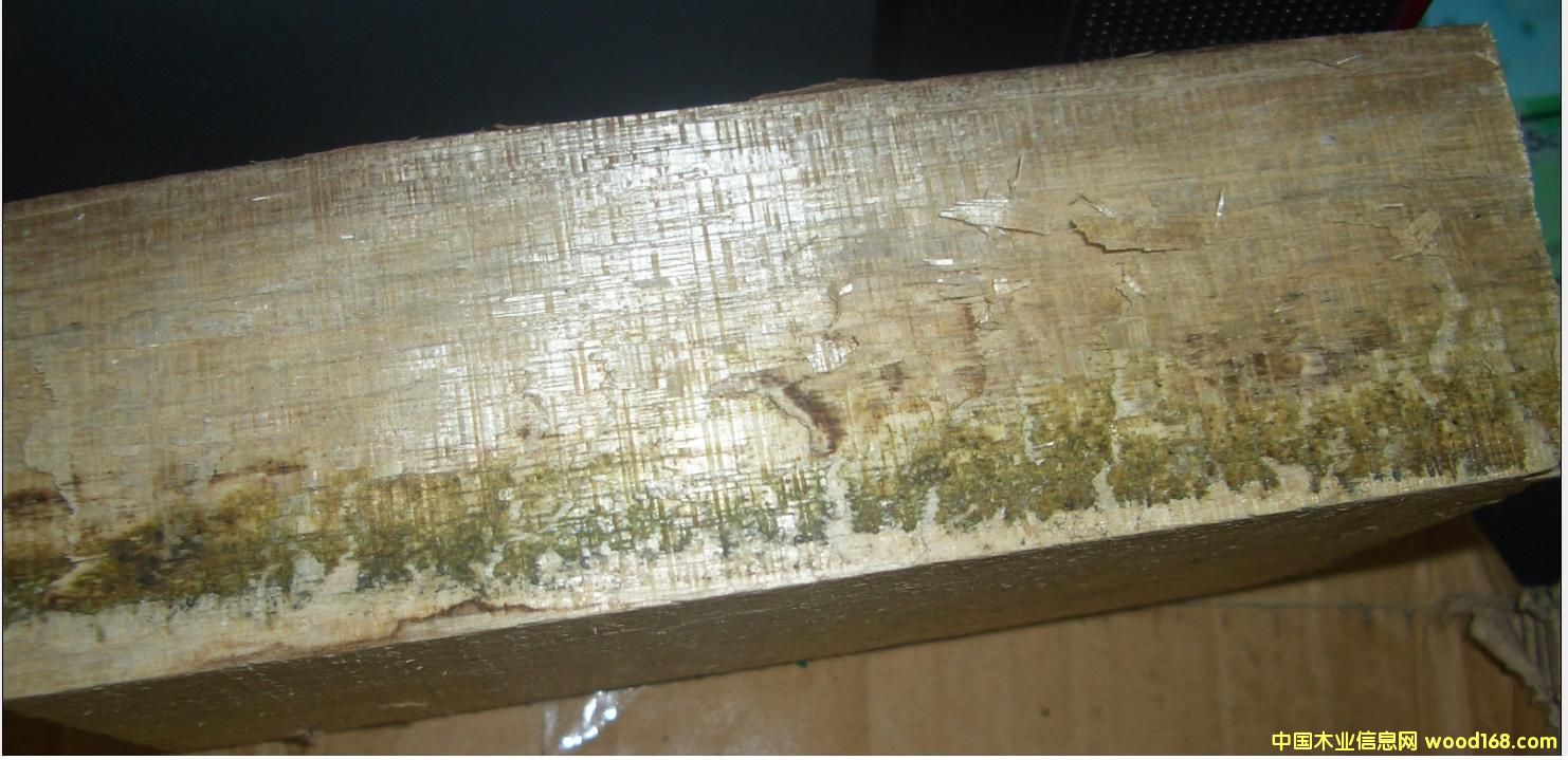 �ľ��Ʒ2��Ԕ����B