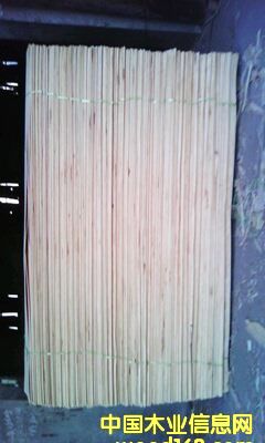 ݗ������Ƥ��Ԕ����B