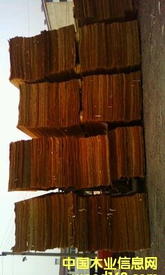 ݗ������Ƥ��Ԕ����B