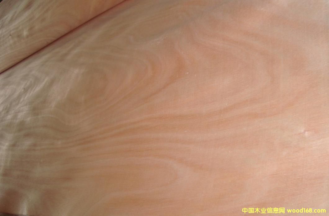 �ΰ��Ԕ��(x��)��B