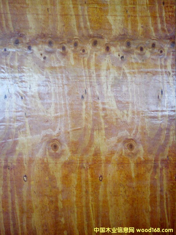 ����ģ���Ԕ����B