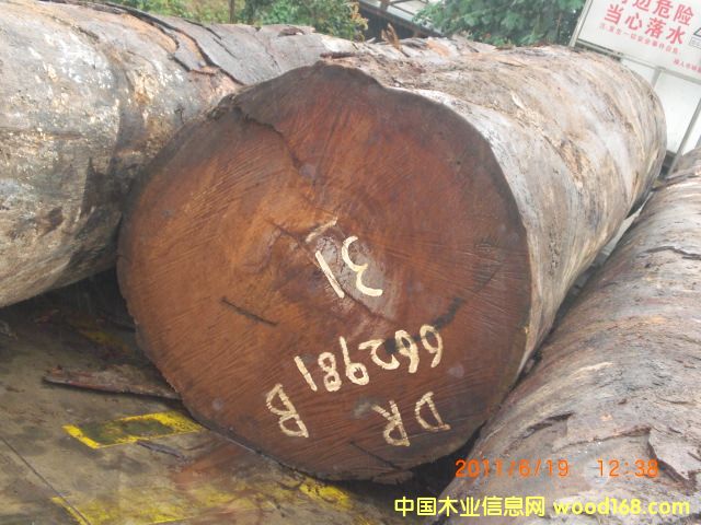 ���}���Ԕ����B