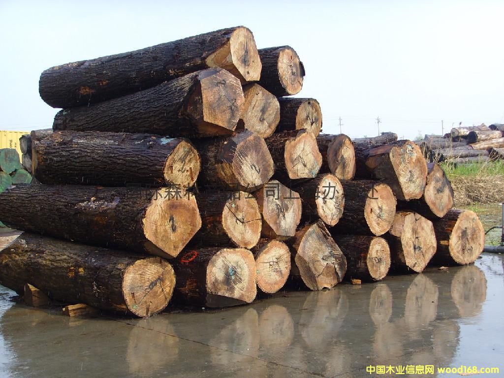 ����(gu��)���м�(j��)��ľԭľ�ֈ�(ch��ng)ֱ��