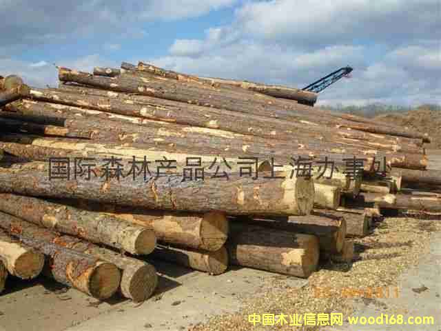 ��Ƥ������(gu��)�Ϸ���ԭľֱ��