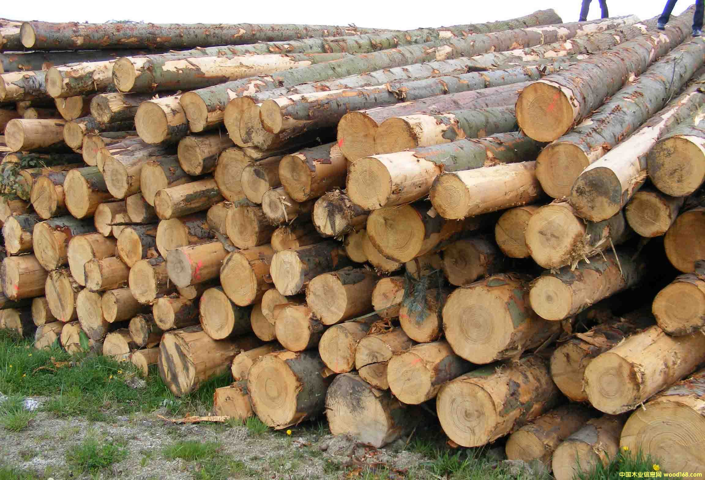 �W�������ɵ�Ԕ��(x��)��B