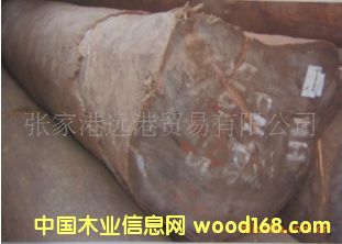 ����(y��ng)�����Kľ ����ľ ���_�mԭľ ��� Peltogyne