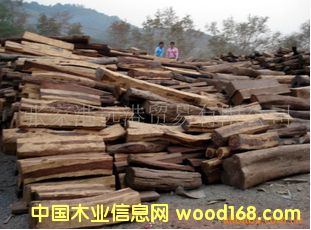 ����(y��ng)�ϓ뻨֦���� ľ�ĵ�Ԕ����B