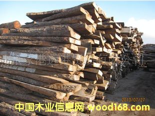 ����(y��ng)�M�ڼt�F�� ������֦���