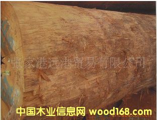 ����(y��ng)������ ɽ��ԭľ ľ�� MSWA