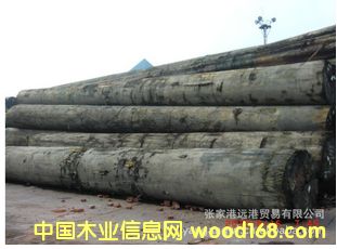 ����(y��ng)�t��_�p �t����ԭľ ��� ľ�� ALAN