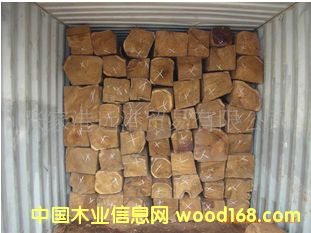 ���������S���� ������ �����̴���� ԭľ