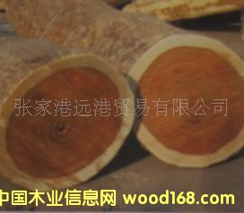 ��������̴ ���޼tԭľ ��� ľ��