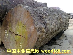  ������������ �����Kľ �ͻ�ԭľ ���