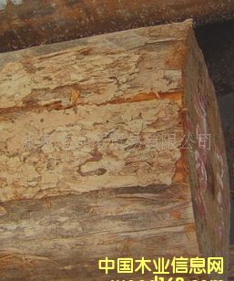 ����(y��ng)�Sđľ �S��ľԭľ ľ�� CWY