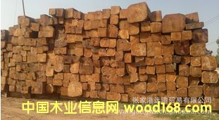 ����(y��ng)�ϓ뻨�� �����̴ �ݻ��淽�� ԭľ