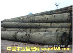 ����(y��ng)����_ɳ ������ԭľ ��� ľ�� MRTW