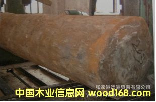 �R�_(d��)��˹���S����ľ