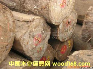 ����Ьľ �tõ��ԭľ ��� ľ��