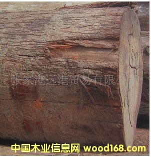 ����(y��ng)�ѹ�ľ �ۘ�ľԭľ ľ�� ���aBIP / SH /SZ