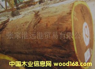 ���Ҹ��h��ľ�I(y��) �����ΰ궹 ���|ԭľ ��� ľ��