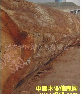 ����(y��ng)����� �t��ԭľ ��� ľ�� DX / DYS