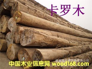 ����(y��ng)�����ľ ���_���ԭľ ��� ľ�� GAG