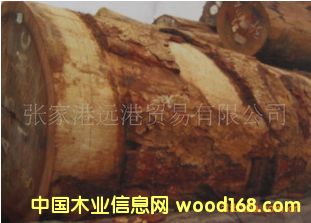 ���Ҹ��h��ľ�I(y��) ��������޼h ��ɳ����ԭľ ��� ľ��