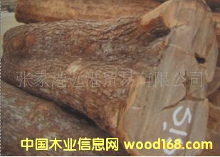 �����L܇ľ Ƥ�� ����̴ԭľ ���