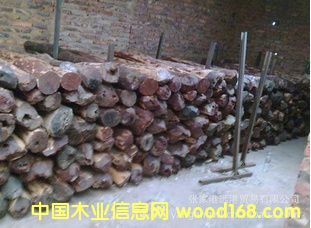 ����(y��ng)С�~��̴ ̴����̴ԭľ��Ԕ����B