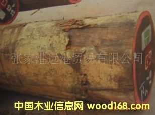 ��������Kľ ���޺�̴ ������ľԭľ ���