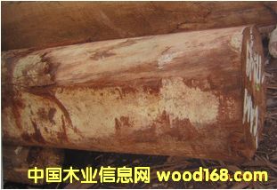 ����(y��ng)����_�p �S�� ��ľԭľ ��� ľ�� SLGB