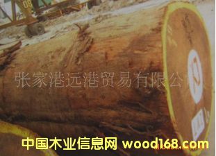 �ΰ궹 ���|ԭľ ��� ľ��