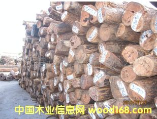 ���Ҹ��h��ľ�I(y��) ����С�~�t̴ �t�Fľ��ԭľ ���