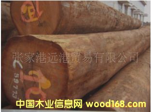 ����Kľ �t��ľԭľ ��� ľ��