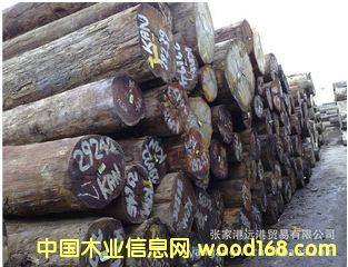  ����(y��ng)ɽ����ԭľ ��� ľ�� KAN / KDIS