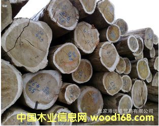 ����(y��ng)��¡ľ ���X��ԭľ ��� KERP/KRXX