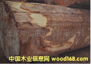 ����(y��ng)���z�� �יnľ ���_��ԭľ ���CWW / PELI