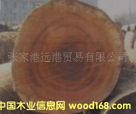 �G��ɣ �����S��ľ �S���� ����ľԭľ ���