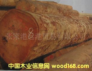 �����󻨸ʰͶ� ����˹ԭľ ľ�� KEM