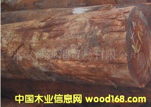 ����(y��ng)���t���ϙ�ľԭľ ��� CAR / CN